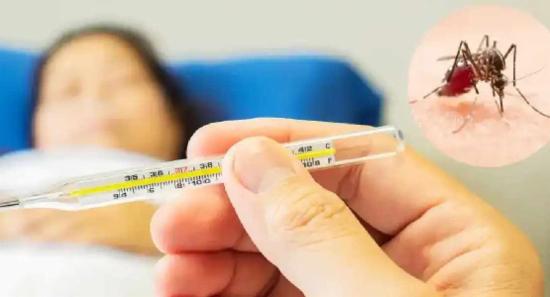 ඩෙංගු රෝගීන් වාර්තා වීමේ වර්ධනයක්